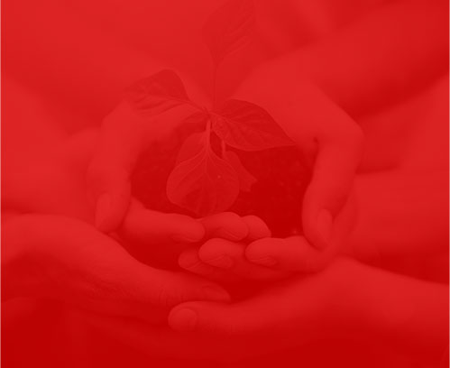 南通網(wǎng)絡公司靈通云